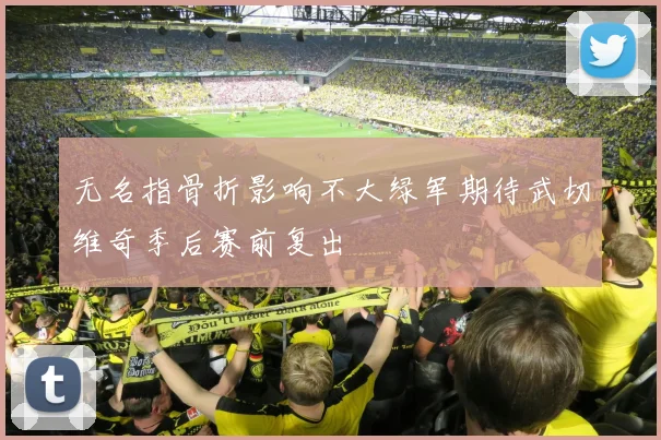 无名指骨折影响不大绿军期待武切维奇季后赛前复出