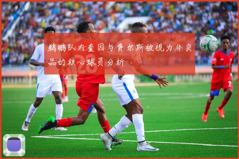 鹈鹕队内奎因与费尔斯被视为非卖品的核心球员分析